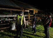 Polsek Sekotong Fokus Patroli Peternakan, Cegah Kriminalitas 3C