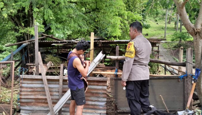 Polri Aktif: Ketahanan Pangan Lombok Barat Menguat