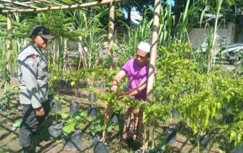 Bhabinkamtibmas Lembahsari Dorong Pemanfaatan Pekarangan untuk Tanaman Gizi