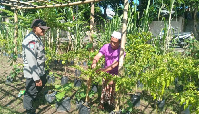 Bhabinkamtibmas Lembahsari Dorong Pemanfaatan Pekarangan untuk Tanaman Gizi