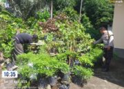 Bhabinkamtibmas Kuripan Aktif Sosialisasikan Program Pangan
