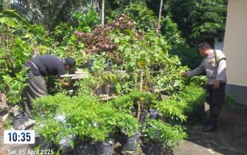 Bhabinkamtibmas Kuripan Aktif Sosialisasikan Program Pangan