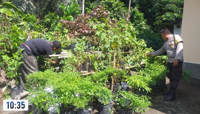 Sinergi Polri dan Masyarakat Wujudkan Ketahanan Pangan Lokal