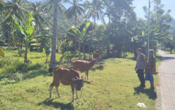Polsek Batulayar Inisiasi Edukasi Pangan Mandiri dari Lahan Pekarangan Warga
