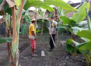pangan, desa, ketahanan, swasembada, bhabinkamtibmas, pertanian, edukasi, kolaborasi, keamanan, lombok