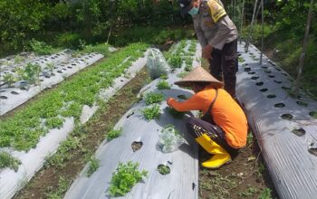 Bhabinkamtibmas Desa Jagaraga Ajarkan Warga Pemanfaatan Lahan untuk Ketahanan Pangan