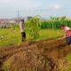 Polsek Labuapi Dukung Program Ketahanan Pangan Melalui Bhabinkamtibmas