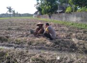 Bhabinkamtibmas Desa Kuripan Beri Motivasi Pemanfaatan Pekarangan untuk Ketahanan Pangan