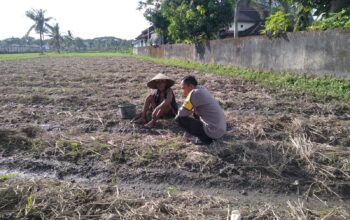 Bhabinkamtibmas Desa Kuripan Beri Motivasi Pemanfaatan Pekarangan untuk Ketahanan Pangan