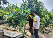Polri dan Petani Bersatu Wujudkan Program Pangan Nasional di Lombok Barat