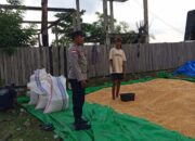 Bhabinkamtibmas Sekotong Barat Aktif Jaga Ketahanan Pangan dan Sampaikan Pesan Kamtibmas
