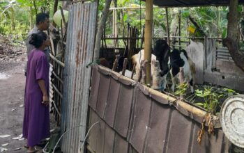 Kepolisian Batulayar Aktif Dukung Program Ketahanan Pangan Pemerintah
