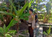Program Ketahanan Pangan Desa Terong Tawah: Peran Bhabinkamtibmas dalam Pengecekan Lahan dan Pemantauan Harga