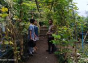 Bhabinkamtibmas Kuripan Giatkan Pemanfaatan Pekarangan untuk Pangan