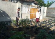 Polsek Kuripan Aktif Sosialisasi Ketahanan Pangan di Lombok Barat