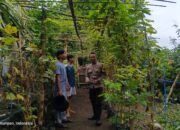 Peran Aktif Polisi dan Pemuda dalam Wujudkan Ketahanan Pangan Lokal