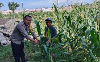 Optimalisasi Lahan Kosong Desa Bagik Polak Barat untuk Ketahanan Pangan