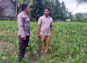 Ketahanan Pangan Jadi Misi Polsek Kuripan Bangun Silaturahmi