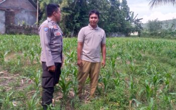 Ketahanan Pangan Jadi Misi Polsek Kuripan Bangun Silaturahmi