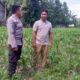 Sinergi Polri-Masyarakat Wujudkan Ketahanan Pangan di Lombok Barat