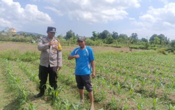 Sinergi Polri dan Petani: Polsek Gerung Galakkan Pemanfaatan Lahan Pekarangan untuk Pangan Bergizi