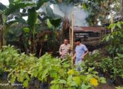 Polsek Kuripan Dampingi Warga Kuripan Utara Sukseskan Program Ketahanan Pangan