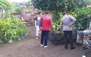 Program Ketahanan Pangan Digencarkan di Desa Jagaraga