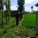 Sinergi Polisi dan Petani Tingkatkan Produktivitas Lahan di Lombok Barat