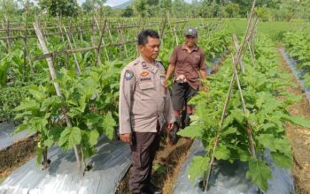 Bhabinkamtibmas Sambangi Petani dan Peternak di Beleka