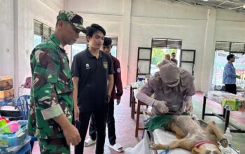 Babinsa Dampingi Sterilisasi Anjing Liar di Lingsar