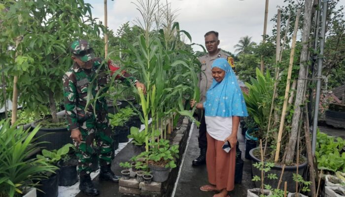 Babinsa, Bhabinkamtibmas dan Kasi Sosial Dukung Ketahanan Pangan Keluarga