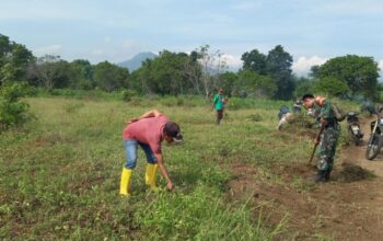 Gotong Royong Warga Rempek Sambut Kehadiran Ustaz Abdul Somat