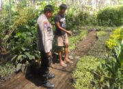 Ketahanan Pangan Dimulai dari Desa: Inisiatif Banyumulek Barat