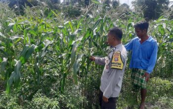 Bhabinkamtibmas Dorong Swasembada Pangan di Desa Montong Are