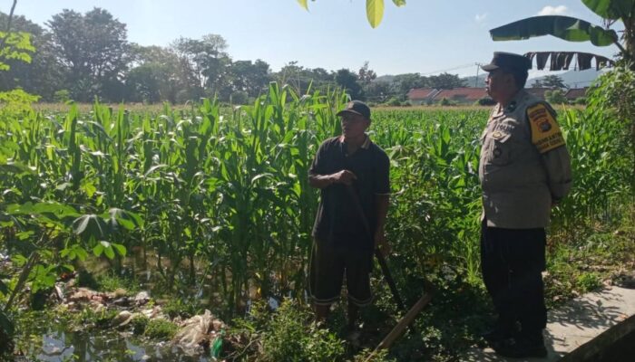 Polsek Gerung Aktif Dampingi Petani Lombok Barat Tingkatkan Produktivitas