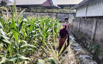 Bhabinkamtibmas Labuapi Ajak Petani Manfaatkan Lahan Kosong