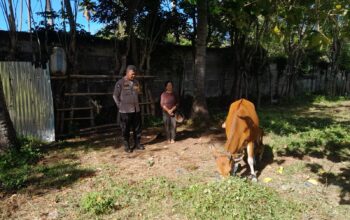 Ketahanan Pangan di Senggigi: Peran Aktif Polsek Batulayar