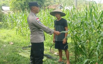Optimalisasi Lahan Warga, Bhabinkamtibmas di Sekotong Dorong Swasembada