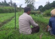 Bhabinkamtibmas Ajak Warga Montong Are Sukseskan Swasembada Pangan