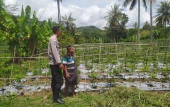 Dukung Ketahanan Pangan, Polri Aktif di Desa Batu Putih