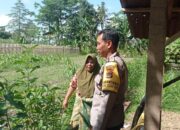 Sinergi Polisi dan Petani di Bawak Gunung Wujudkan Kemandirian Pangan