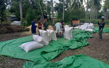 Babinsa Serap Aspirasi Petani Jagung