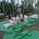 Babinsa Serap Aspirasi Petani Jagung