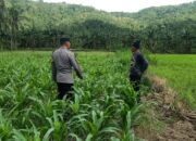 Kunjungan DDS: Ketahanan Pangan dan Kamtibmas Jadi Fokus Polisi Sekotong