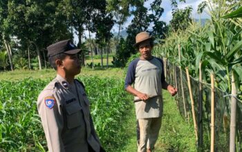 Sinergi Polri-Petani Dorong Swasembada Pangan di Lombok Barat