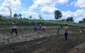 Bhabinkamtibmas Sekotong Aktif Dukung Ketahanan Pangan