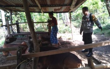 Bhabinkamtibmas Batulayar Barat Giatkan Ketahanan Pangan Warga