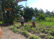 Polri Dukung Ketahanan Pangan Nasional Bhabinkamtibmas Jagaraga Ajak Petani Manfaatkan Lahan Produktif