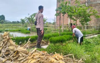 Peran Aktif Polri dalam Swasembada Pangan di NTB