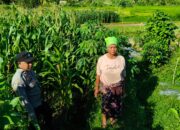Kolaborasi Polisi dan Petani di Mareje Timur untuk Ketahanan Pangan